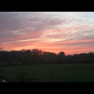 Meet your Posher, Heidi